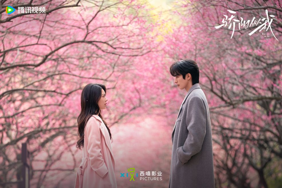 Short Review: Shine on Me (2026) 骄阳似我